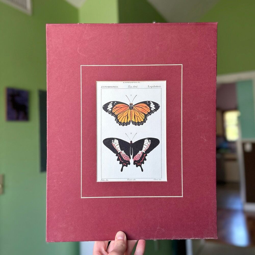 ❌SOLD - Picture 7 of 7